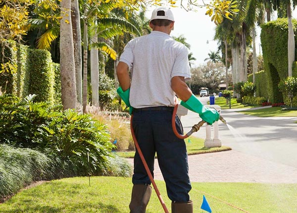 About Bailey CO Pest Control Pros
